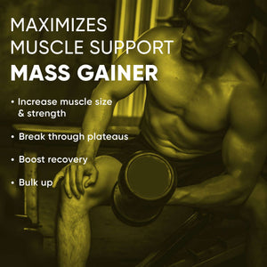 Denzour Mass Gainer - 1.5Kg (3.3 Lb) | Muscle Support, 72g Carbs & 100g Per Servings
