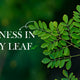 Top 10 Benefits of Moringa Powder 