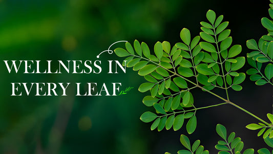Top 10 Benefits of Moringa Powder 