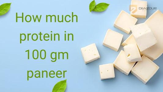 How much protein in 100 gm paneer