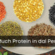 Protein in dal Per 100g