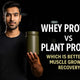 whey protein vs plant protein