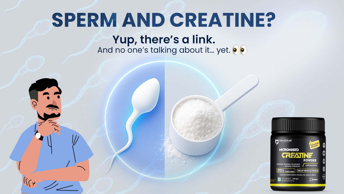 Creatine and Sperm Motility: How the Popular Sports Supplement May Boost Male Fertility