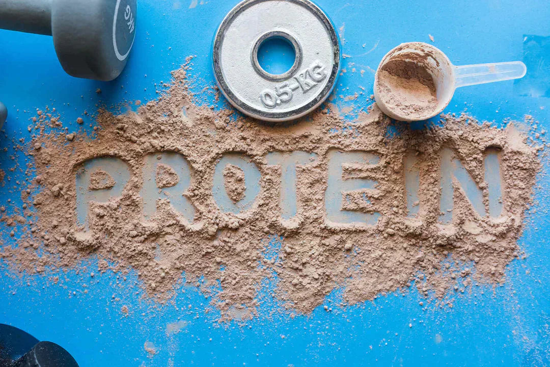 Whey Protein for Beginners