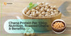 chana protein per 100g