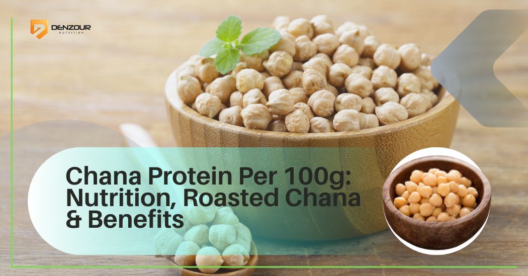chana protein per 100g