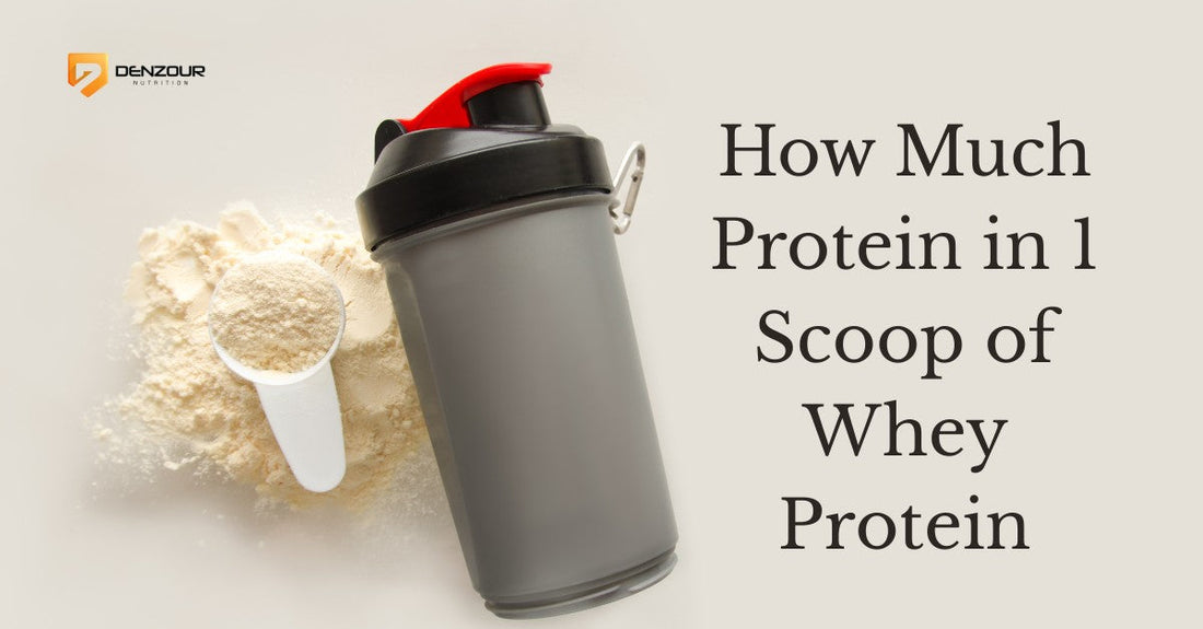 how much protein in 1 scoop of whey protein