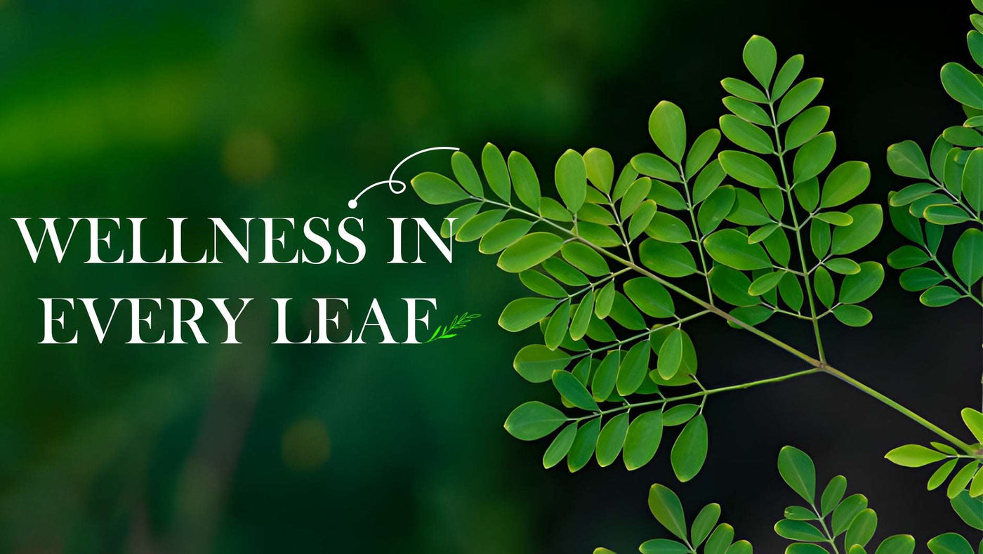Top 10 Benefits of Moringa Powder for Health, Energy, and Immunity
