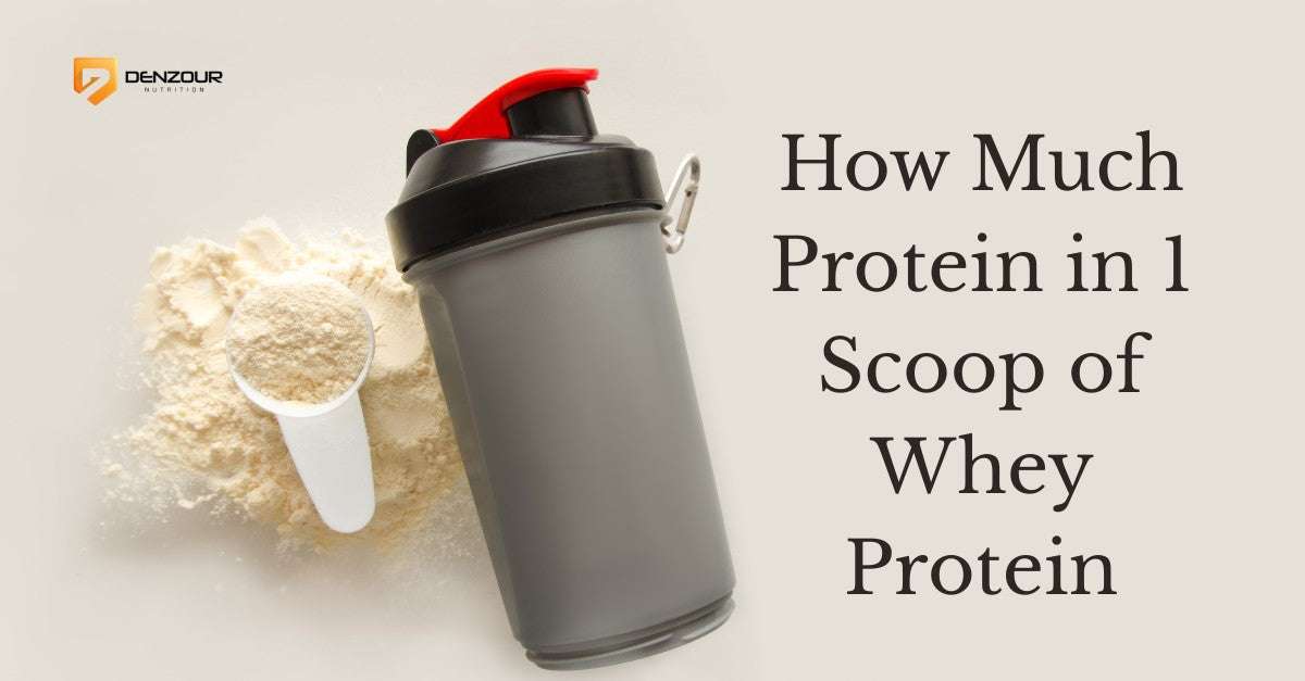 How Much Protein in 1 Scoop of Whey Protein | Complete Guide