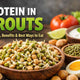 protein in sprouts