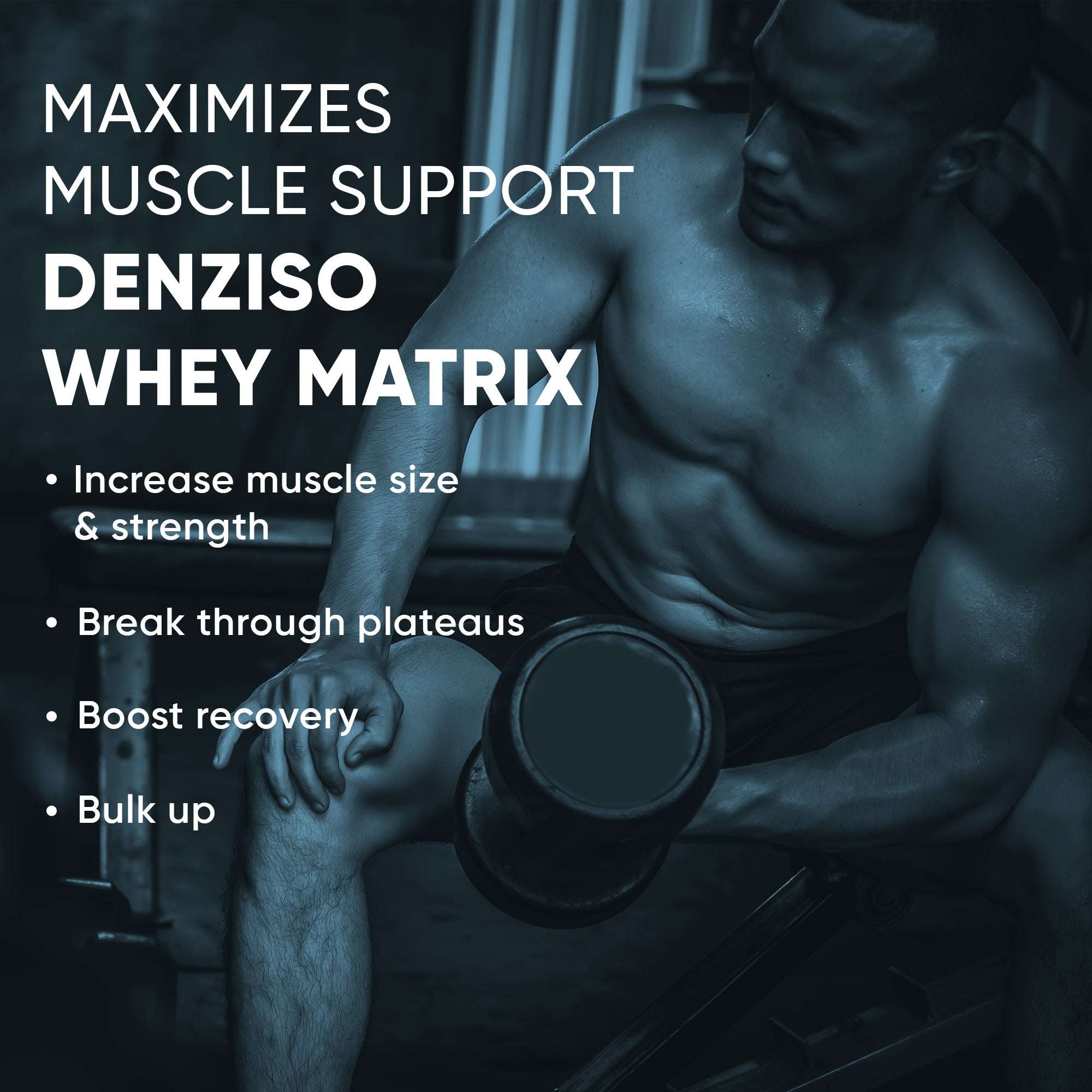 muscle support