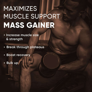 Denzour Mass Gainer 3Kg Muscle Support