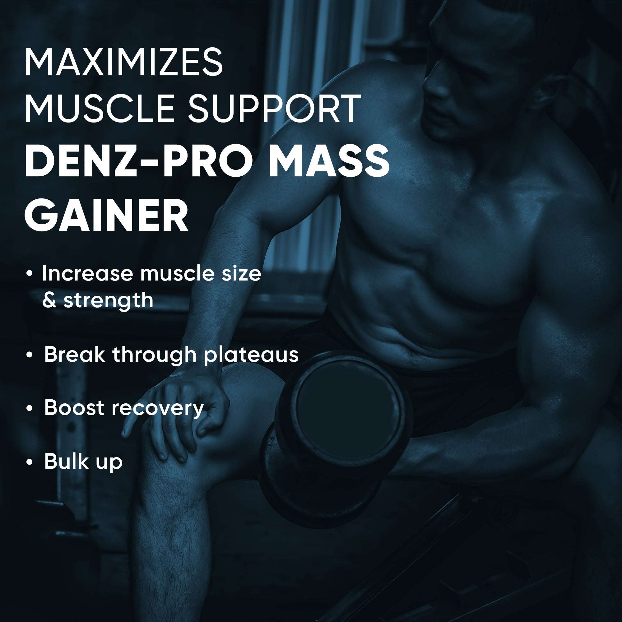Denz-Pro Mass Gainer | Protein Powder | 3kg(6.6 Lb), 72g Carbs & 1g Fat | Per Serving 100g
