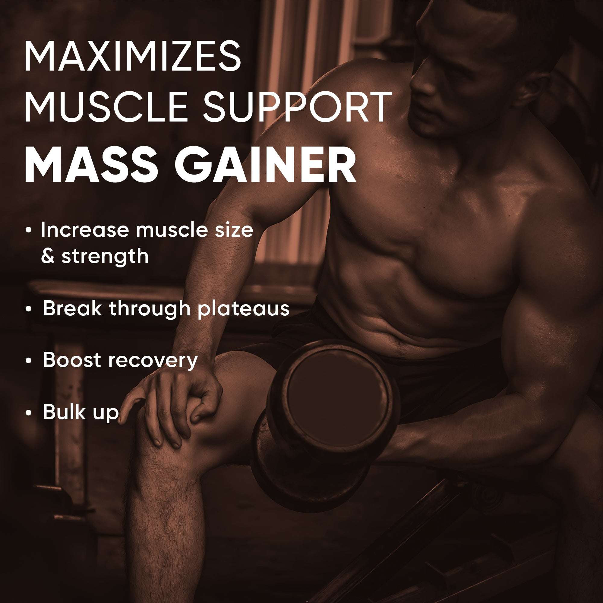 Denzour Mass Gainer- Muscle Support