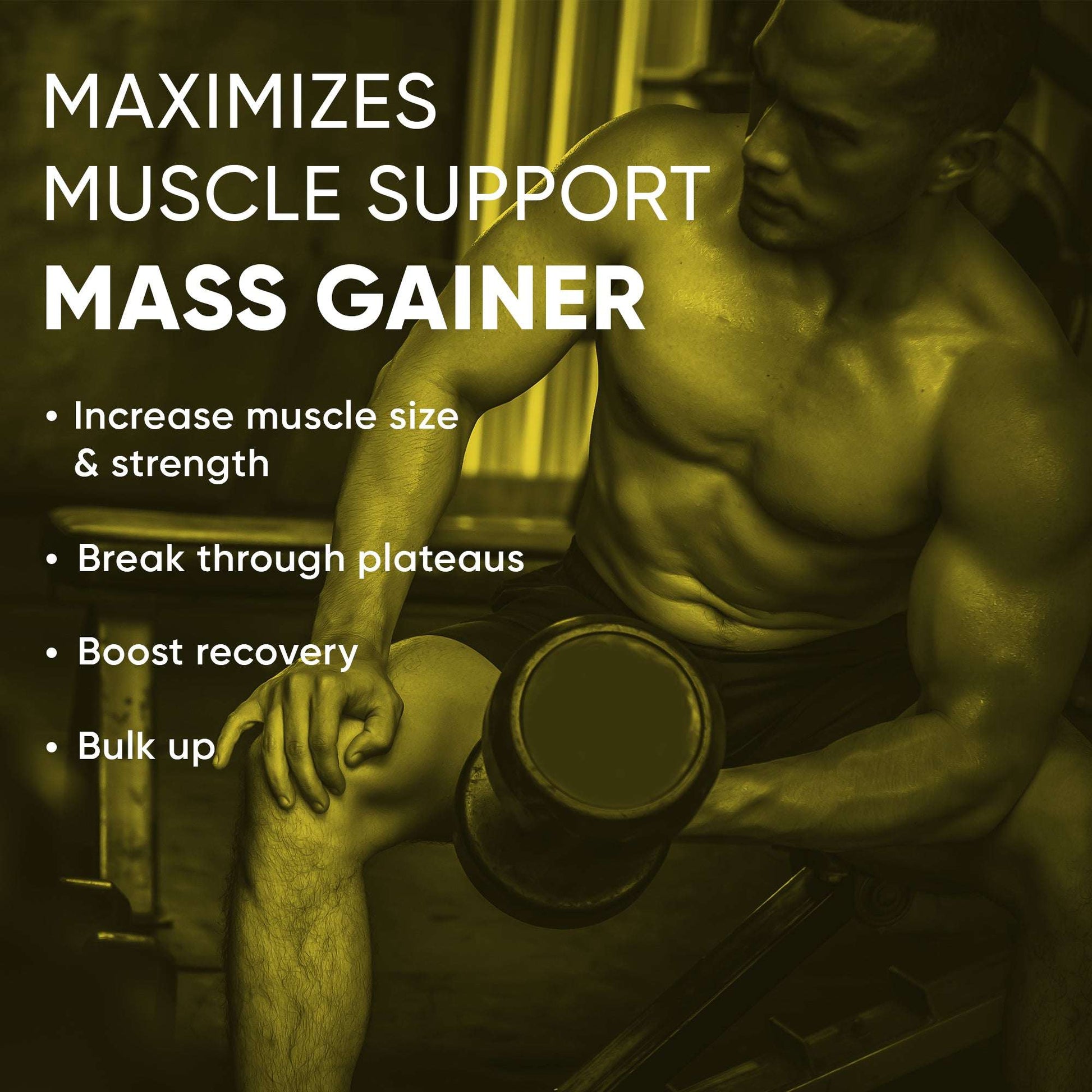 Denzour Mass Gainer - 1.5Kg (3.3 Lb) | Muscle Support, 72g Carbs & 100g Per Servings