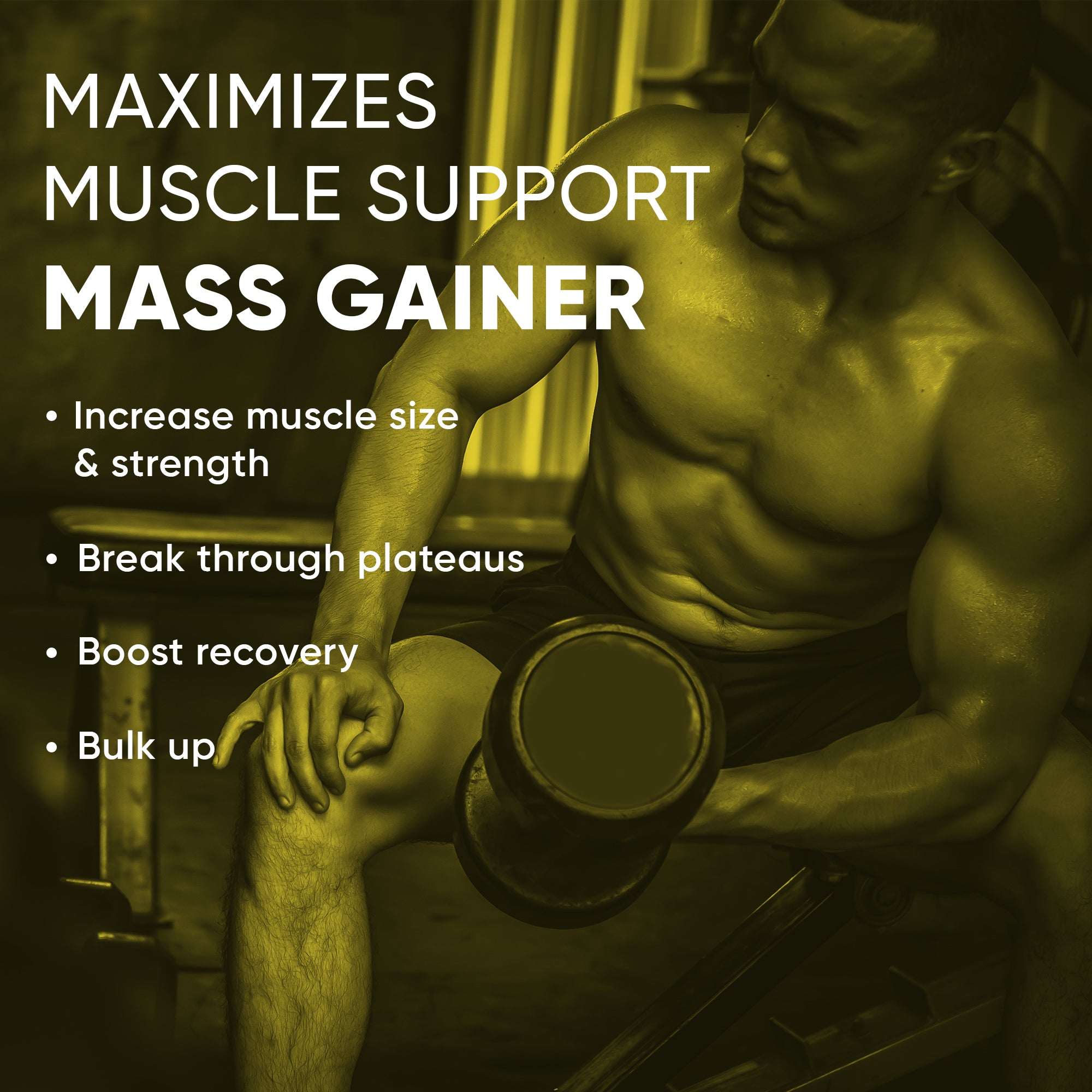 Denzour Mass Gainer - 1.5Kg (3.3 Lb) | Muscle Support, 72g Carbs & 100g Per Servings