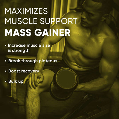 Denzour Mass Gainer - 1.5Kg (3.3 Lb) | Muscle Support, 72g Carbs & 100g Per Servings