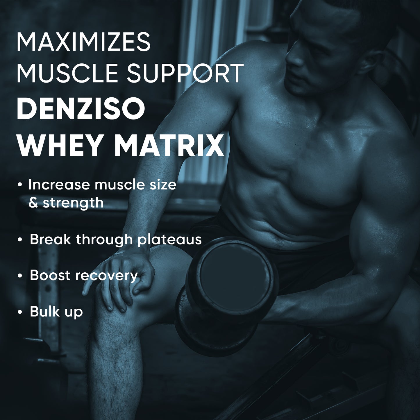 Denziso Whey Matrix Protein - 2Kg