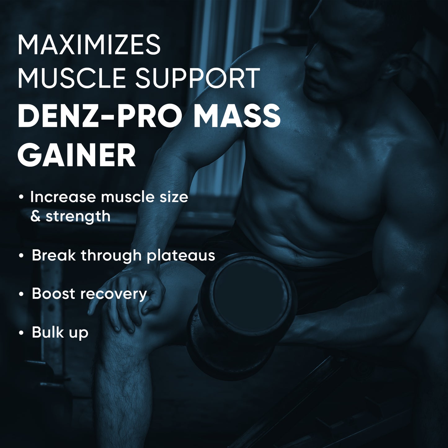 Denz-Pro Mass Gainer - 5Kg