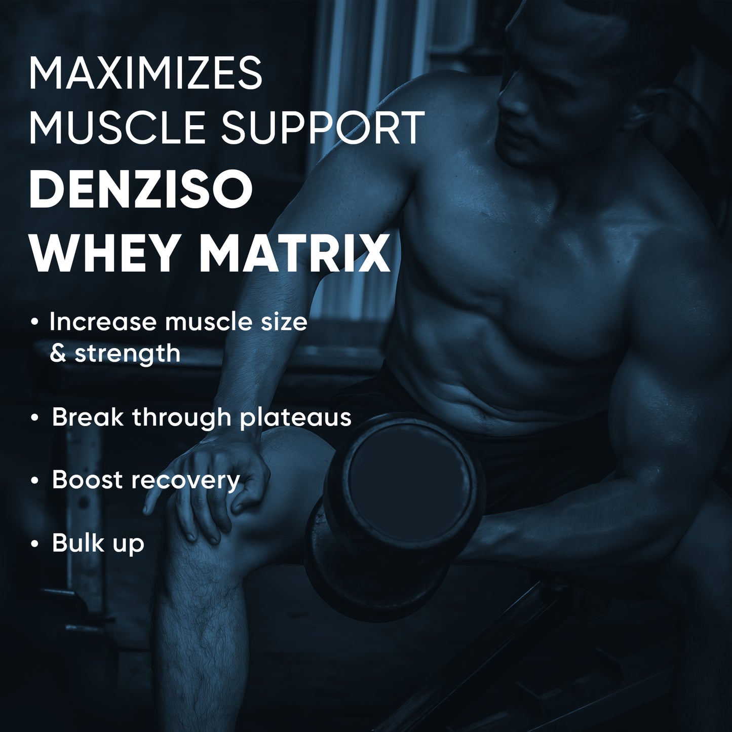 Denziso Whey Matrix Protein - 4Kg