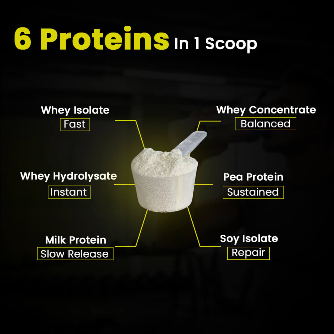 Denzour Whey Gold Ultra 6 High Quality Protein Powder | 1.05Kg & Enhanced Strength