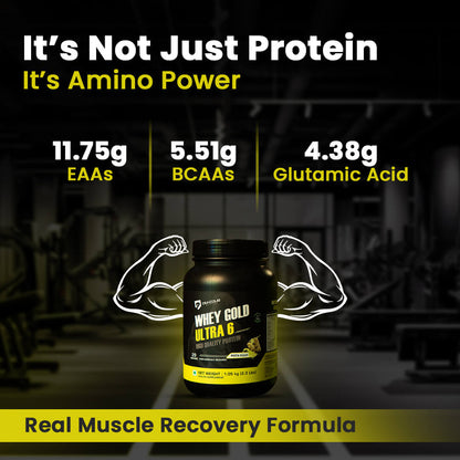 Denzour Whey Gold Ultra 6 High Quality Protein Powder | 1.05Kg & Enhanced Strength